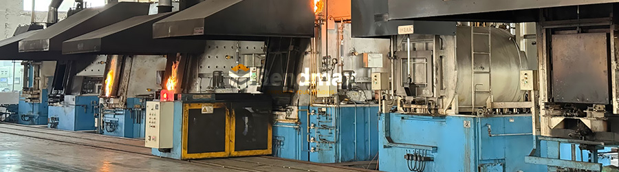 Heat treating machine for press brake tooling